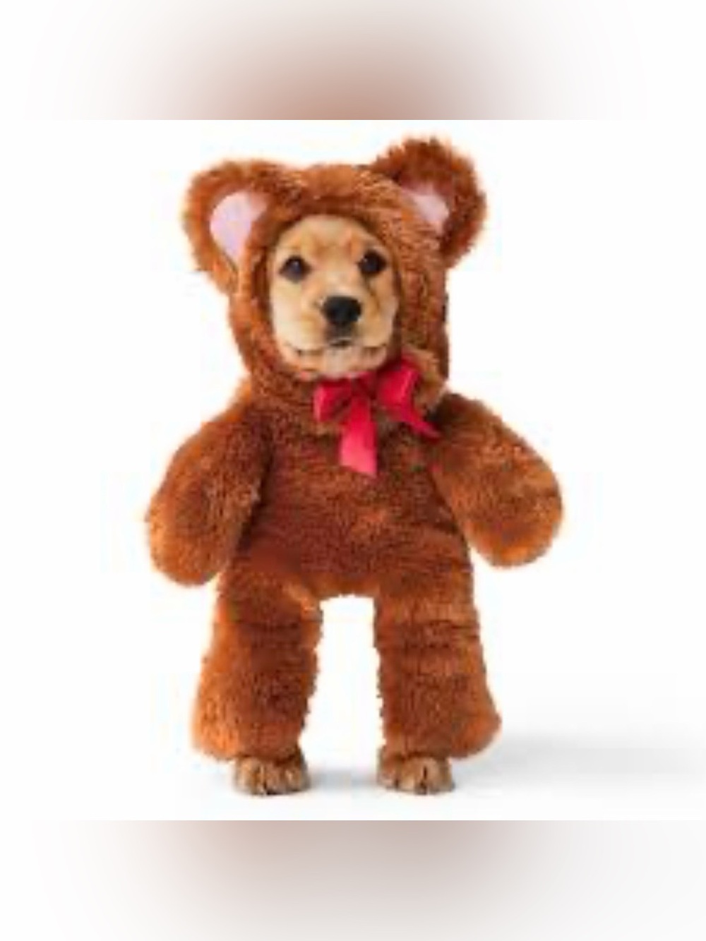 Bailey & Bella Plush Teddy Bear Dog Halloween Costume - size XL/2XL